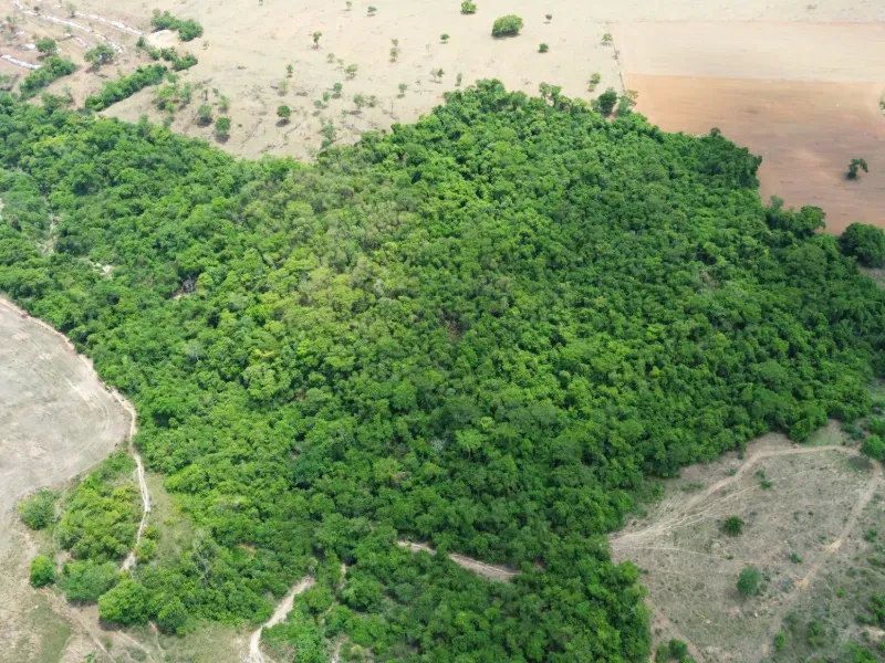 Sítio em Piracanjuba/Goiás — Ref J0GJ5Y — Imagem 15