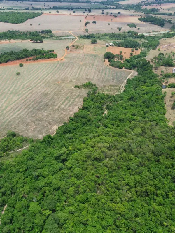 Sítio em Piracanjuba/Goiás — Ref J0GJ5Y — Imagem 16