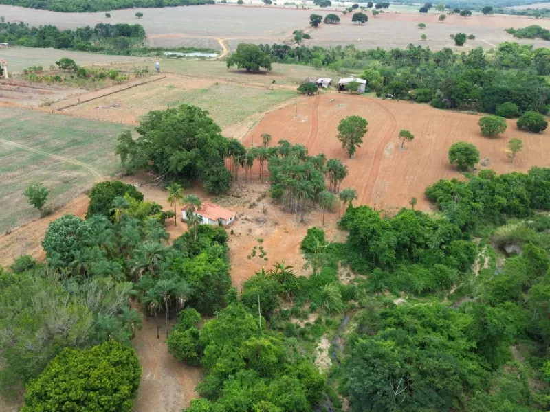 Sítio em Piracanjuba/Goiás — Ref J0GJ5Y — Imagem 18