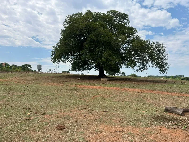Sítio em Piracanjuba/Goiás — Ref J0GJ5Y — Imagem 48