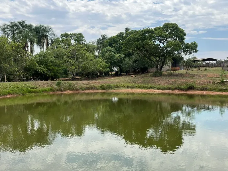 Sítio em Piracanjuba/Goiás — Ref J0GJ5Y — Imagem 43