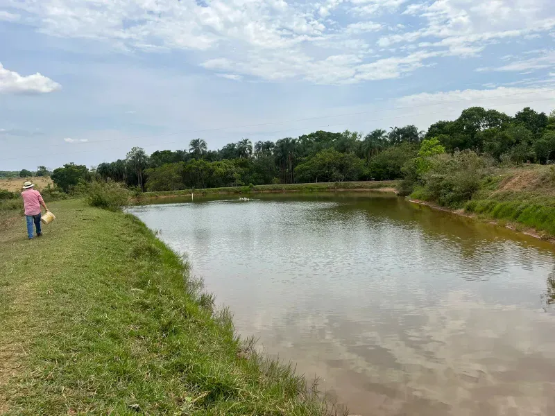 Sítio em Piracanjuba/Goiás — Ref J0GJ5Y — Imagem 41