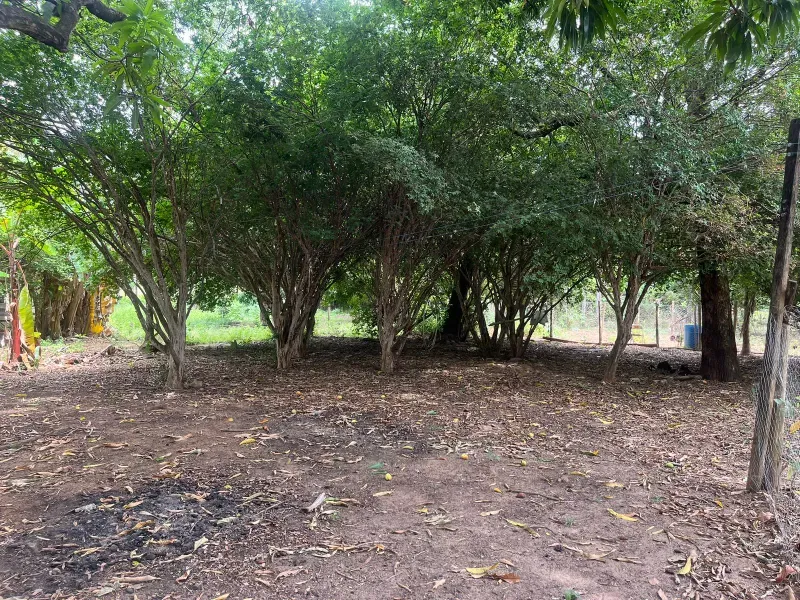 Sítio em Piracanjuba/Goiás — Ref J0GJ5Y — Imagem 36