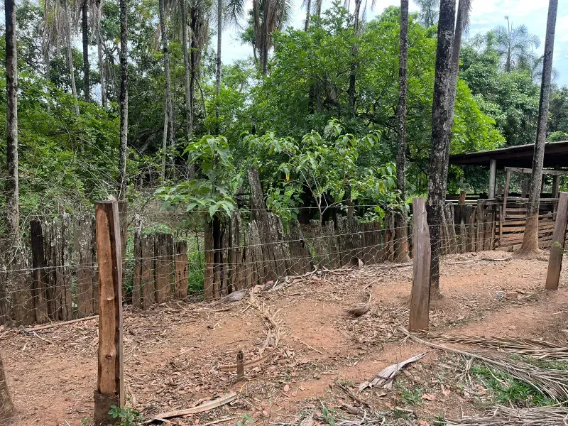 Sítio em Piracanjuba/Goiás — Ref J0GJ5Y — Imagem 39