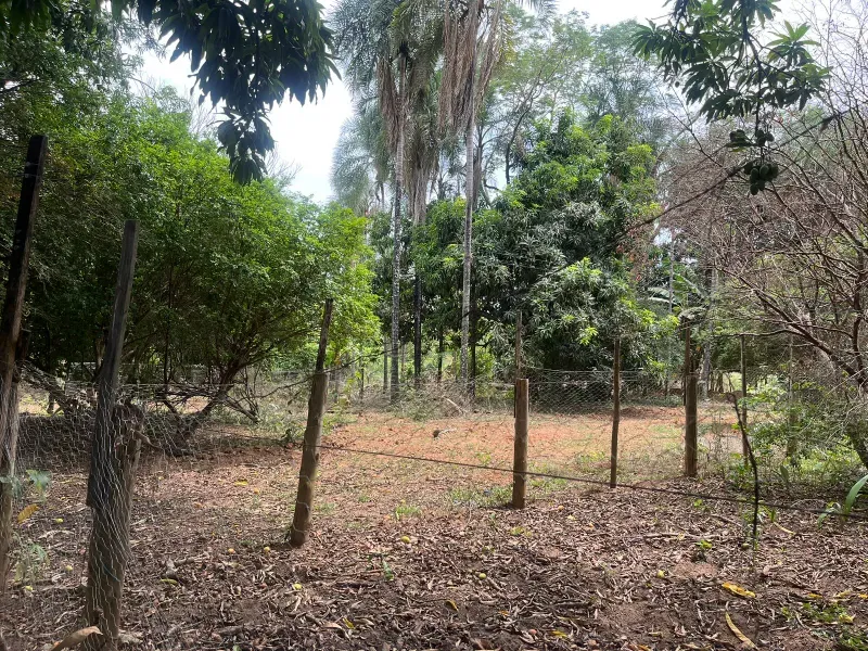 Sítio em Piracanjuba/Goiás — Ref J0GJ5Y — Imagem 40