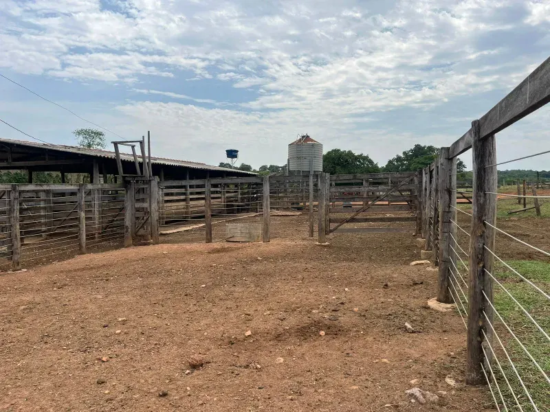 Sítio em Piracanjuba/Goiás — Ref J0GJ5Y — Imagem 24