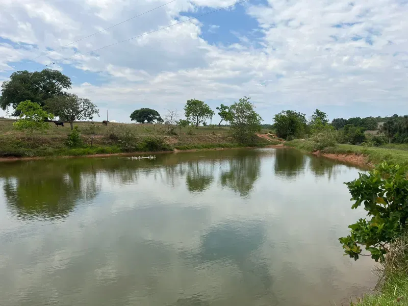 Sítio em Piracanjuba/Goiás — Ref J0GJ5Y — Imagem 44