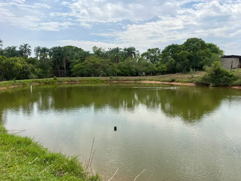 Sítio em Piracanjuba/Goiás — Ref J0GJ5Y — Imagem 45
