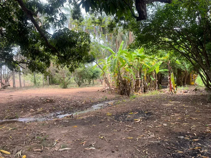 Sítio em Piracanjuba/Goiás — Ref J0GJ5Y — Imagem 55