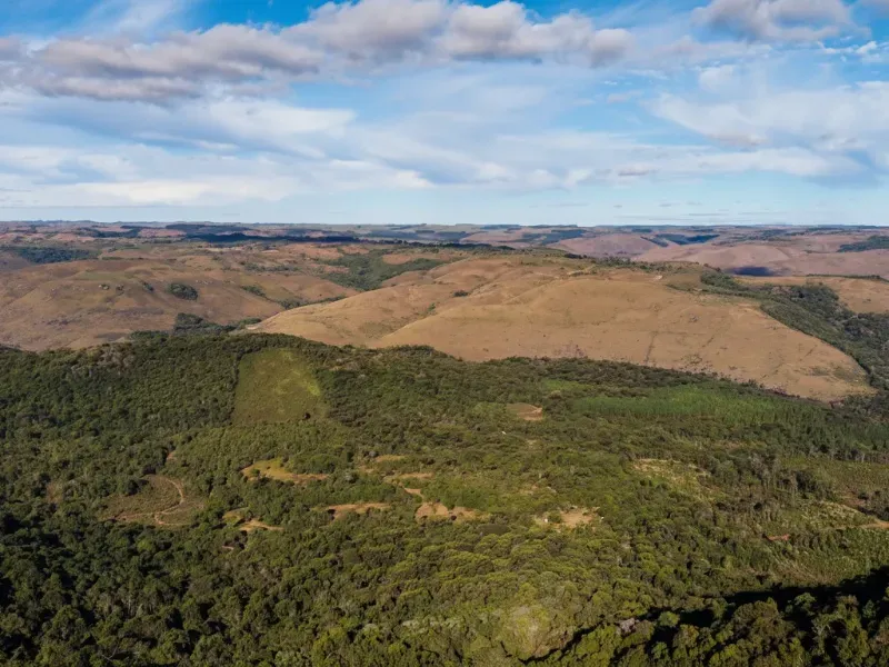 Sítio em Capão Alto/Santa Catarina — Ref S9109Z — Imagem 2