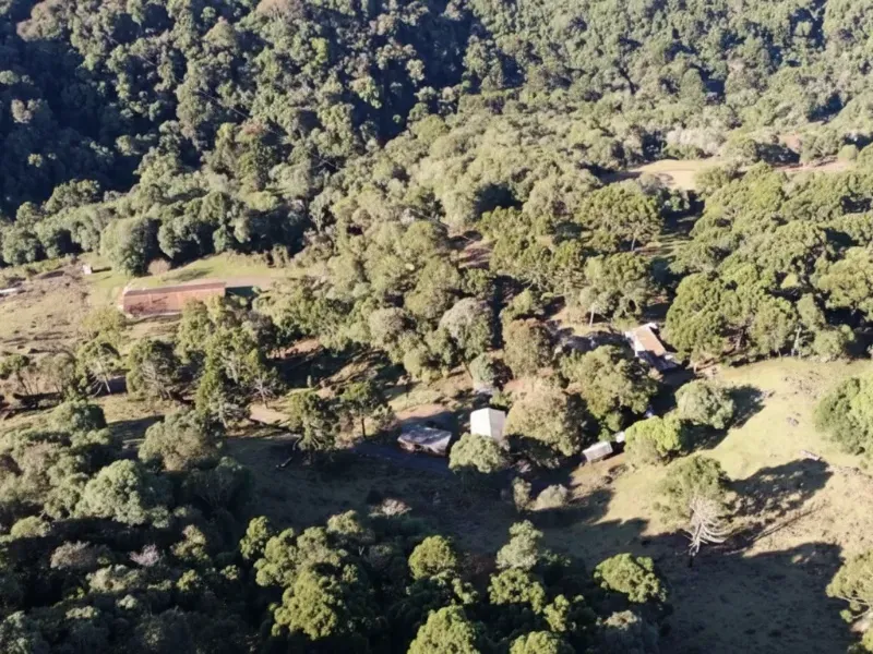 Sítio em Capão Alto/Santa Catarina — Ref S9109Z — Imagem 5