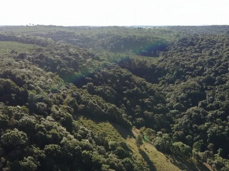 Sítio em Capão Alto/Santa Catarina — Ref S9109Z — Imagem 4