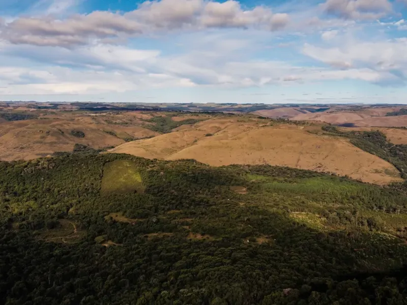 Sítio em Capão Alto/Santa Catarina — Ref S9109Z — Imagem 3