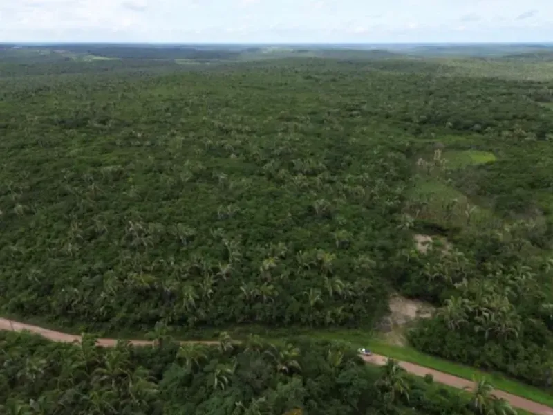 Fazenda em Chapadinha/Maranhão — Ref SCB564 — Imagem 7