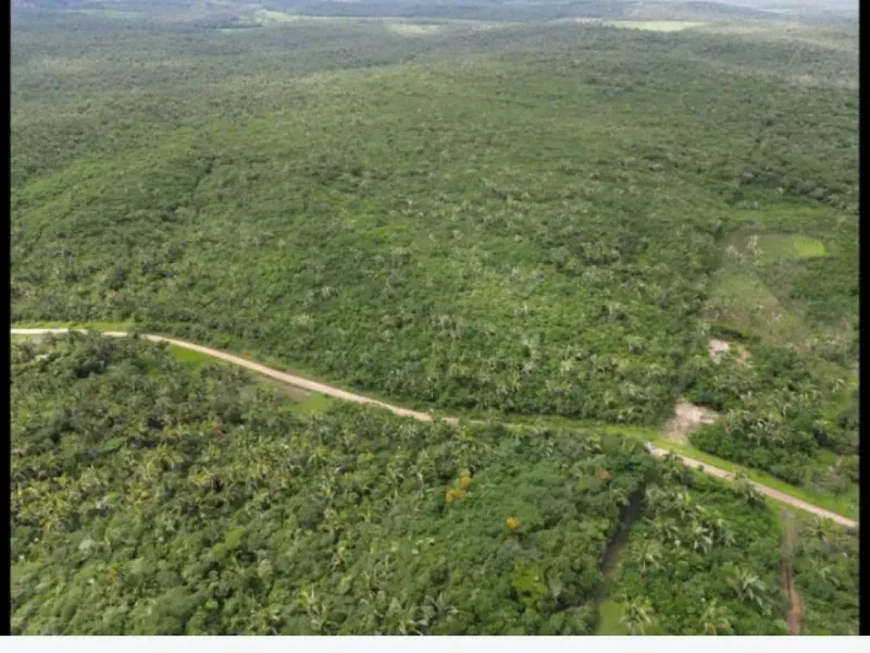 Fazenda em Chapadinha/Maranhão — Ref SCB564 — Imagem 8