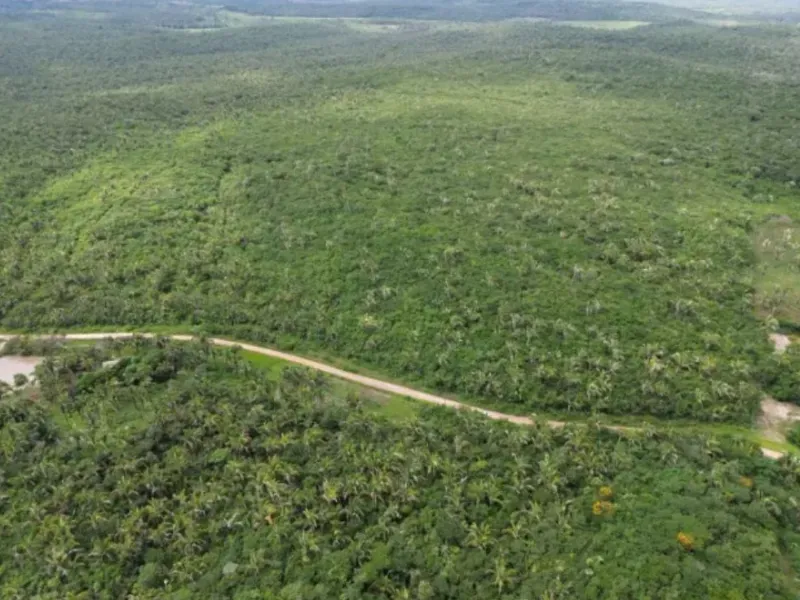 Fazenda em Chapadinha/Maranhão — Ref SCB564 — Imagem 9