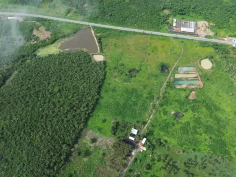 Fazenda em Chapadinha/Maranhão — Ref SCB564 — Imagem 3