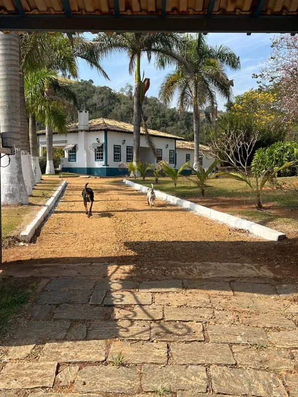 Fazenda em Monte Sião/Minas Gerais — Ref F0XQTD — Imagem 10