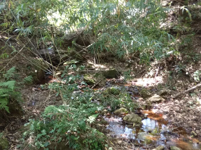 Sítio em Pedra Bela/São Paulo — Ref 1P34CF — Imagem 5