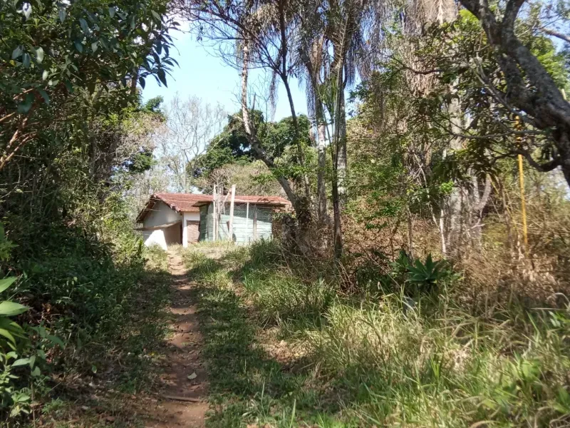 Sítio em Pedra Bela/São Paulo — Ref 1P34CF — Imagem 9