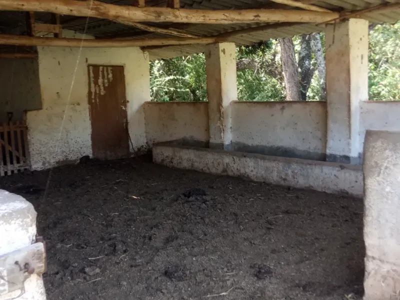 Sítio em Pedra Bela/São Paulo — Ref 1P34CF — Imagem 13