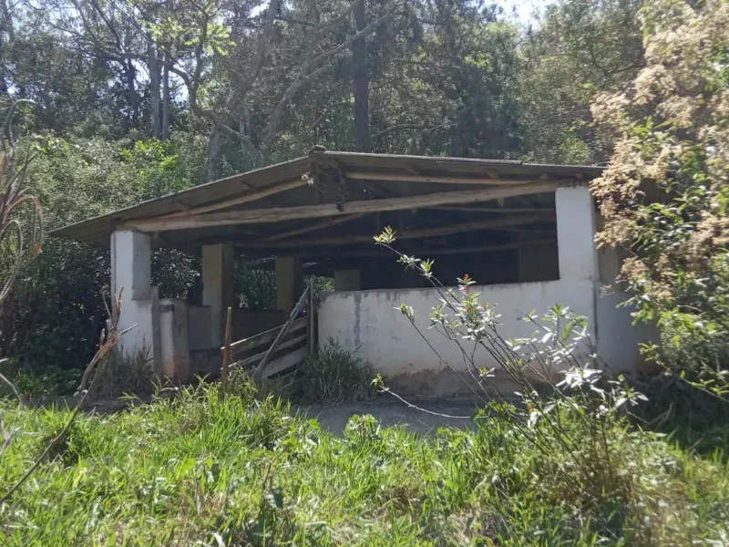 Sítio em Pedra Bela/São Paulo — Ref 1P34CF — Imagem 11