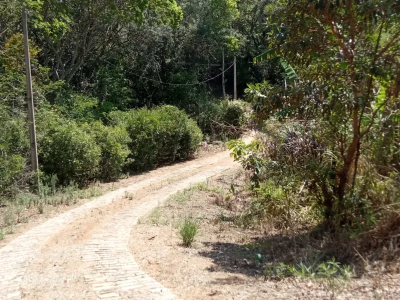 Sítio em Pedra Bela/São Paulo — Ref 1P34CF — Imagem 6