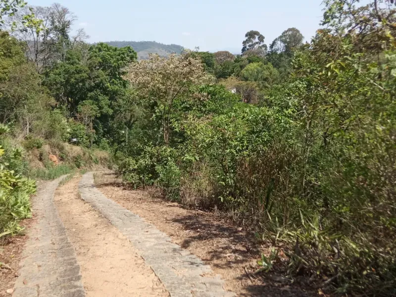 Sítio em Pedra Bela/São Paulo — Ref 1P34CF — Imagem 7