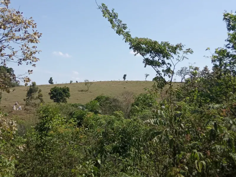 Sítio em Pedra Bela/São Paulo — Ref 1P34CF — Imagem 3