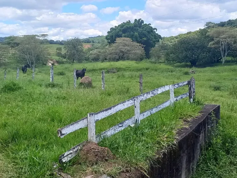 Fazenda em Oliveira/Minas Gerais — Ref GTNBUJ — Imagem 6