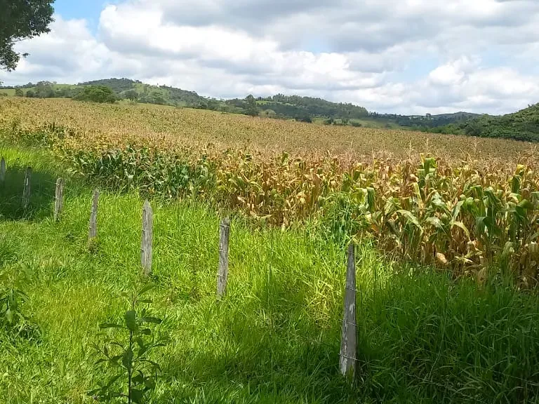 Imóvel rural em Oliveira/Minas Gerais — Ref GTNBUJ1
