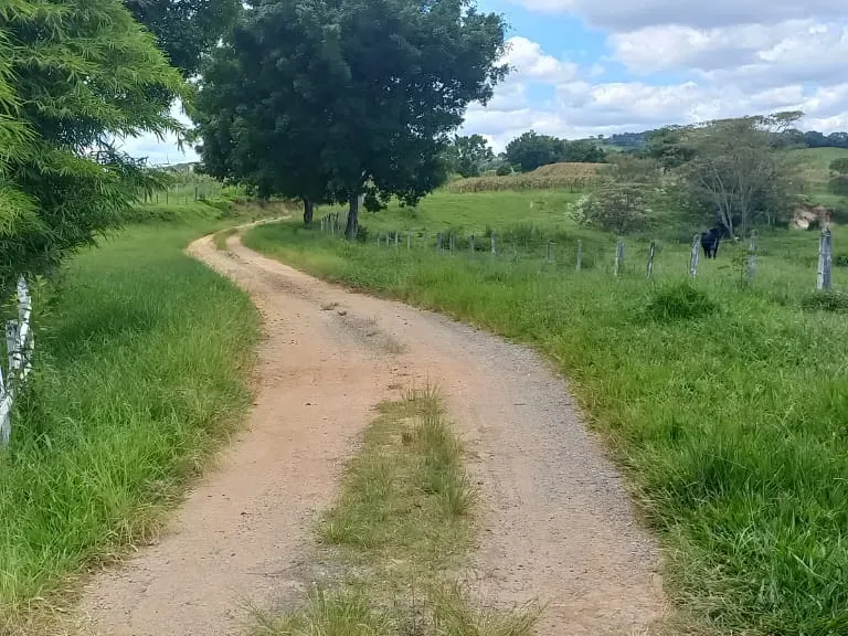 Fazenda em Oliveira/Minas Gerais — Ref GTNBUJ — Imagem 5