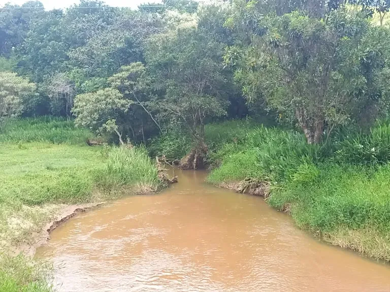 Fazenda em Oliveira/Minas Gerais — Ref GTNBUJ — Imagem 8