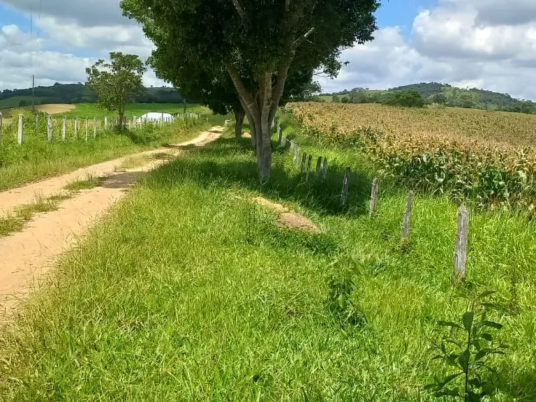 Fazenda em Oliveira/Minas Gerais — Ref GTNBUJ — Imagem 3