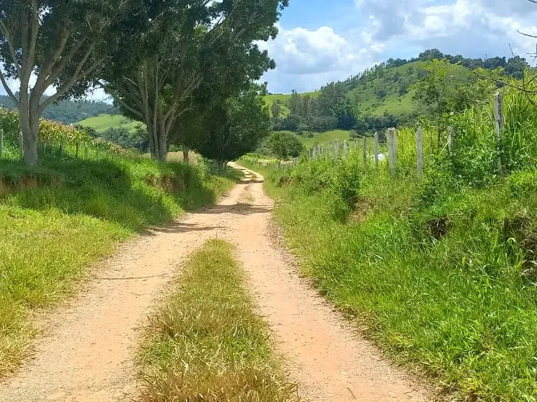 Fazenda em Oliveira/Minas Gerais — Ref GTNBUJ — Imagem 7