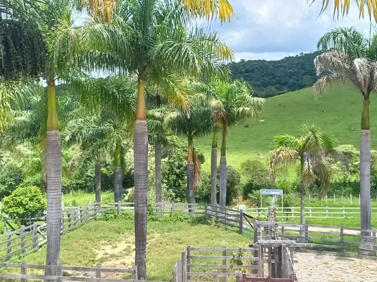 Fazenda em Oliveira/Minas Gerais — Ref GTNBUJ — Imagem 11