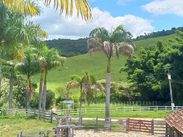 Fazenda em Oliveira/Minas Gerais — Ref GTNBUJ — Imagem 12