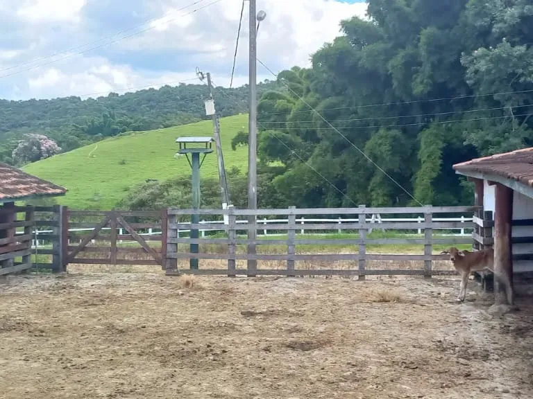 Fazenda em Oliveira/Minas Gerais — Ref GTNBUJ — Imagem 18