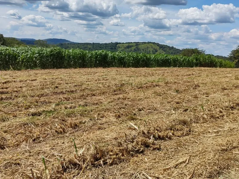 Fazenda em Itapecerica/Minas Gerais — Ref J7UGUJ — Imagem 5
