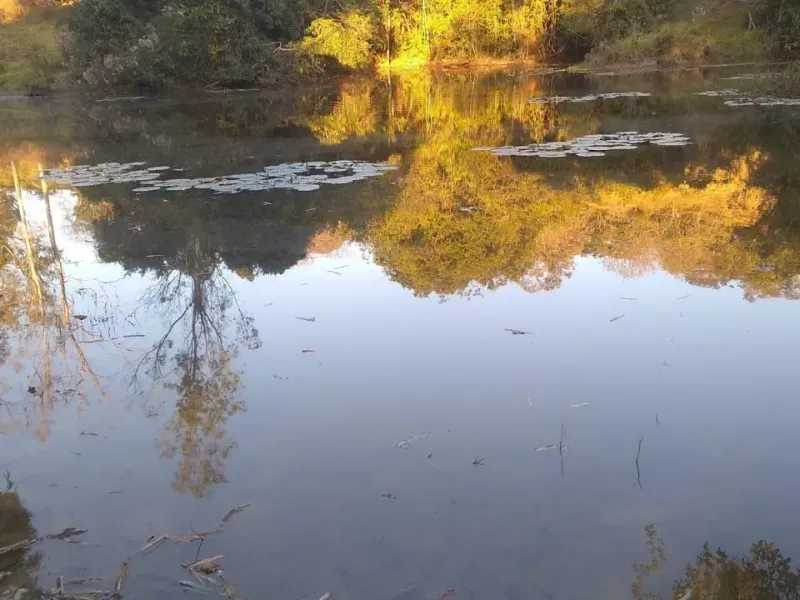 Fazenda em Itapecerica/Minas Gerais — Ref J7UGUJ — Imagem 40