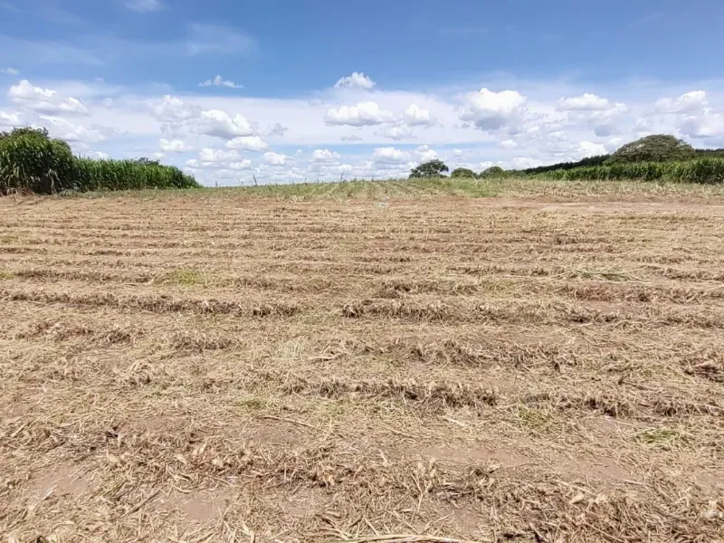 Fazenda em Itapecerica/Minas Gerais — Ref J7UGUJ — Imagem 9