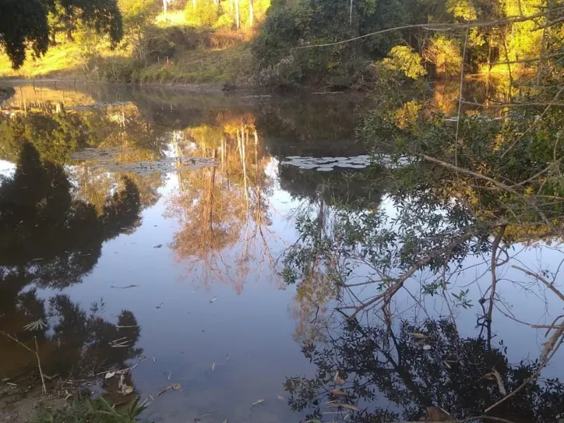 Fazenda em Itapecerica/Minas Gerais — Ref J7UGUJ — Imagem 41
