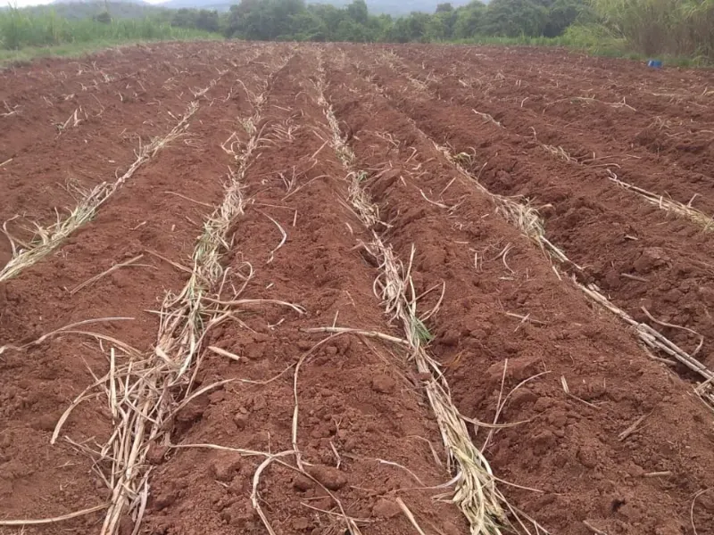 Fazenda em Itapecerica/Minas Gerais — Ref J7UGUJ — Imagem 21