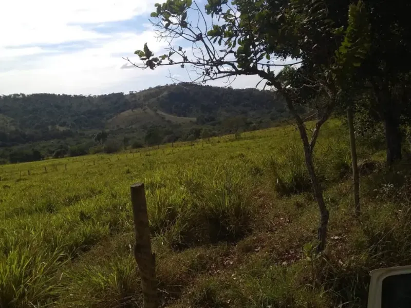 Fazenda em Itapecerica/Minas Gerais — Ref J7UGUJ — Imagem 19