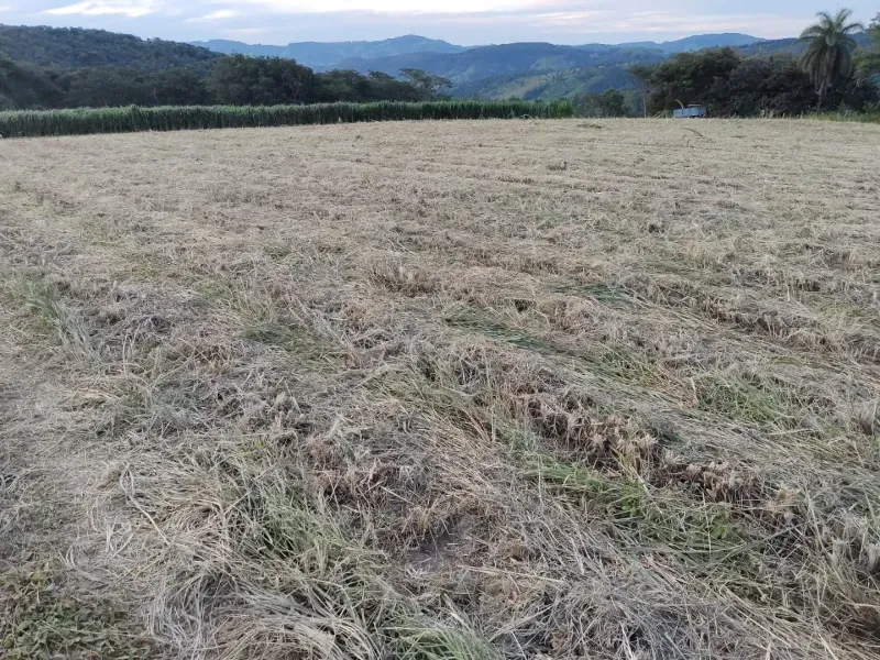 Fazenda em Itapecerica/Minas Gerais — Ref J7UGUJ — Imagem 2