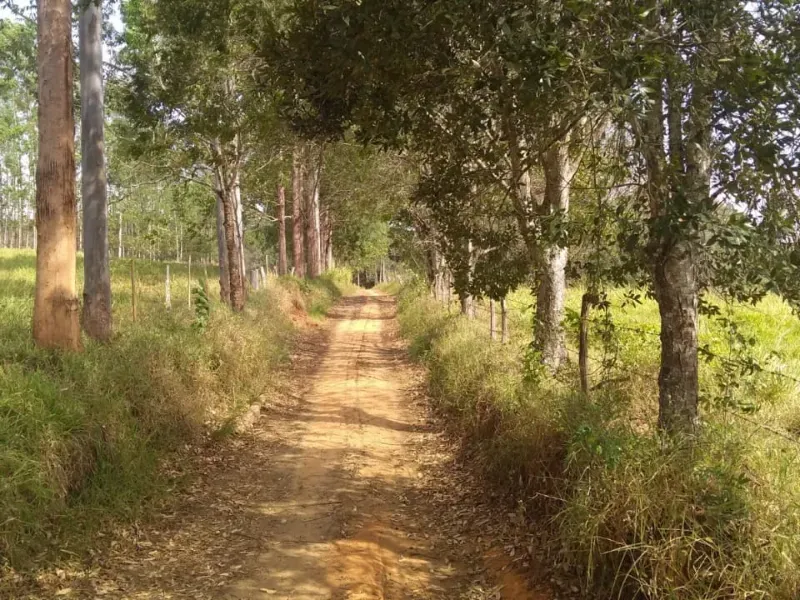 Fazenda em Itapecerica/Minas Gerais — Ref J7UGUJ — Imagem 42