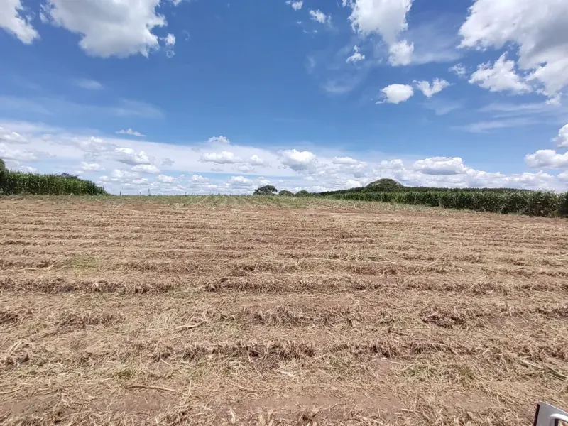 Fazenda em Itapecerica/Minas Gerais — Ref J7UGUJ — Imagem 8