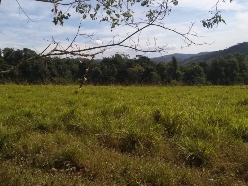 Fazenda em Itapecerica/Minas Gerais — Ref J7UGUJ — Imagem 18