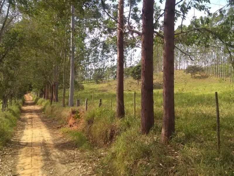 Fazenda em Itapecerica/Minas Gerais — Ref J7UGUJ — Imagem 43
