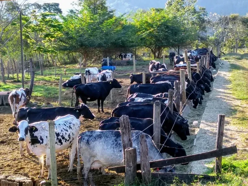 Fazenda em Itapecerica/Minas Gerais — Ref J7UGUJ — Imagem 22